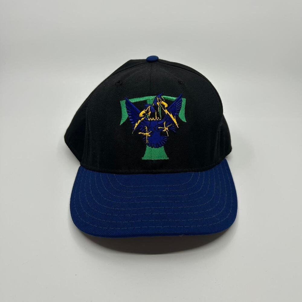 Blue and black vintage Trenton thunder cap
